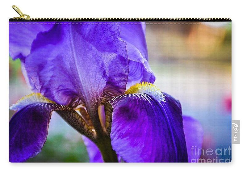Purple Zip Pouch featuring the photograph Purple Iris by Cheryl McClure