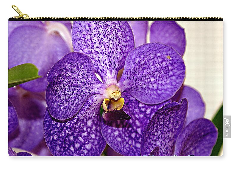 Birmingham Zip Pouch featuring the photograph Purple Orchid by Everett Spruill