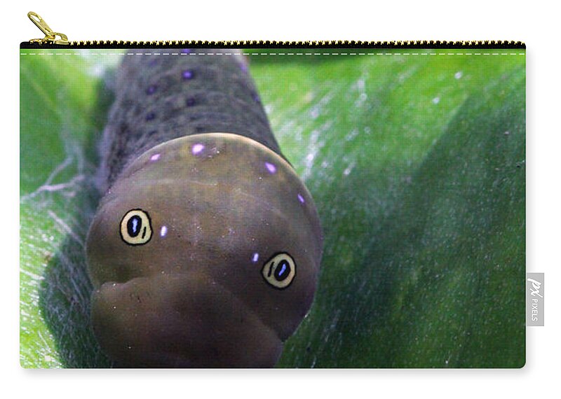 Insects Carry-all Pouch featuring the photograph Purple Polkadots by Jennifer Robin