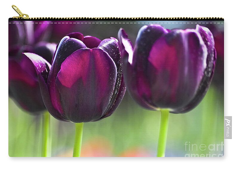 Tulip Carry-all Pouch featuring the photograph Purple tulips by Heiko Koehrer-Wagner