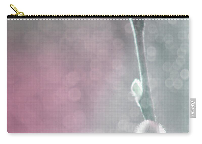 Pussy Willow Zip Pouch featuring the photograph Pussy Willow Bokeh by Jim And Emily Bush