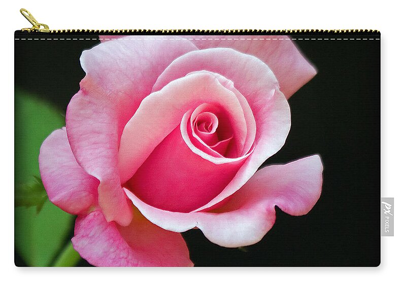 Rose Zip Pouch featuring the photograph Queen Elizabeth Rose by Farol Tomson