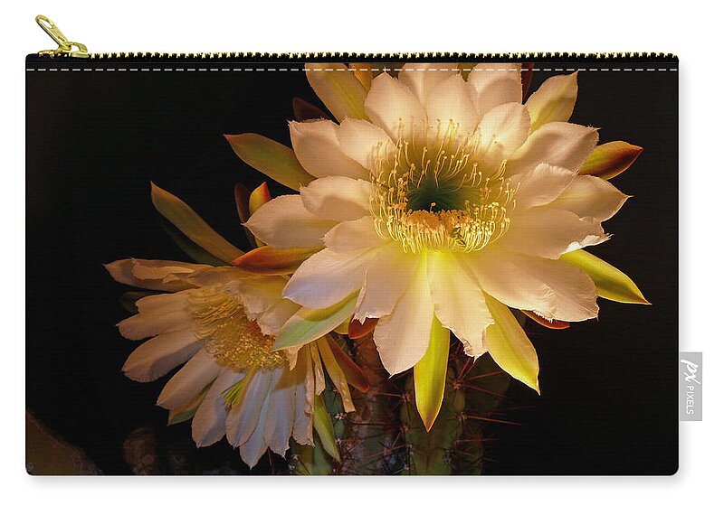 Night Blooming Cereus Cactus Flower Zip Pouch featuring the photograph Queen of the Night by Susan Duda
