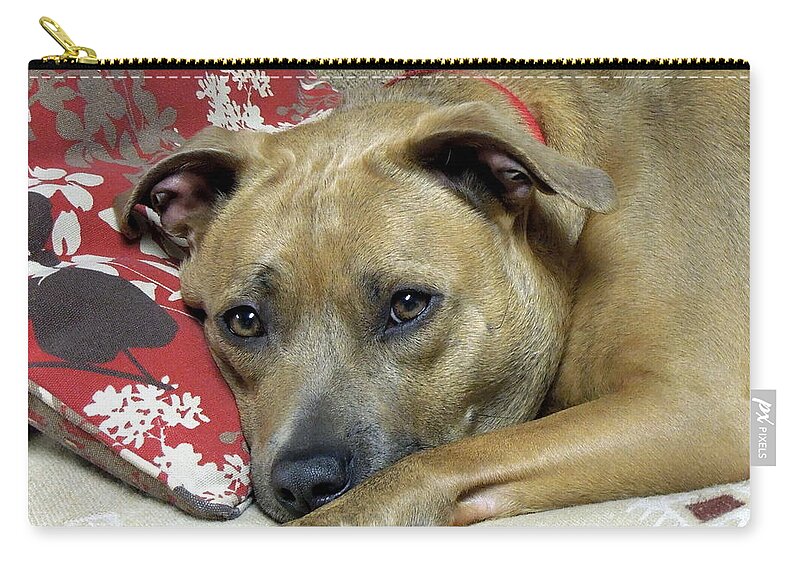 Funky Zip Pouch featuring the photograph Quiet Time by Renee Trenholm