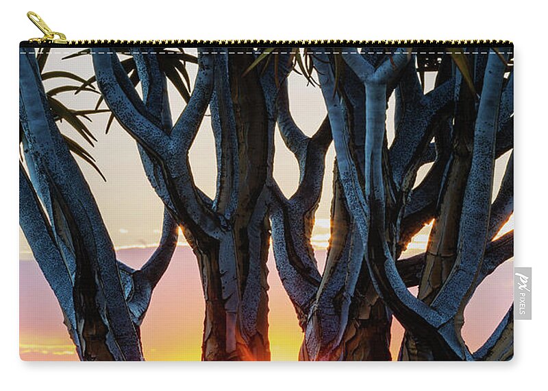 Scenics Zip Pouch featuring the photograph Quiver Tree At Dusk by Jeremy Woodhouse