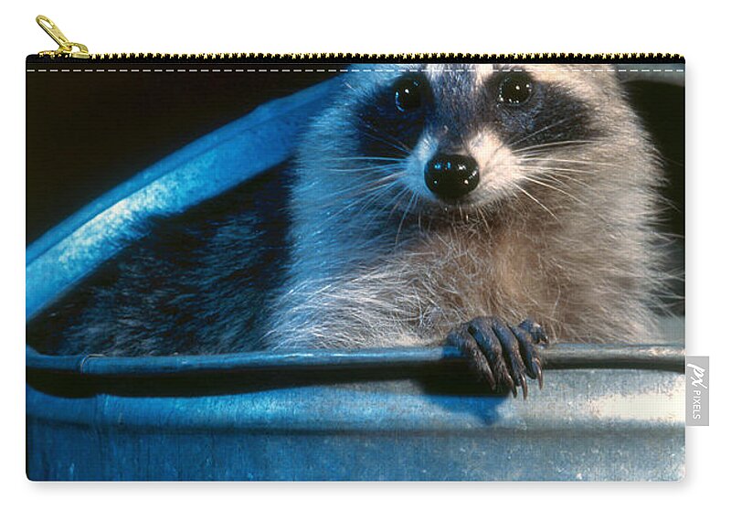 Raccoon Zip Pouch featuring the photograph Raccoon in garbage can by Steve Maslowski 