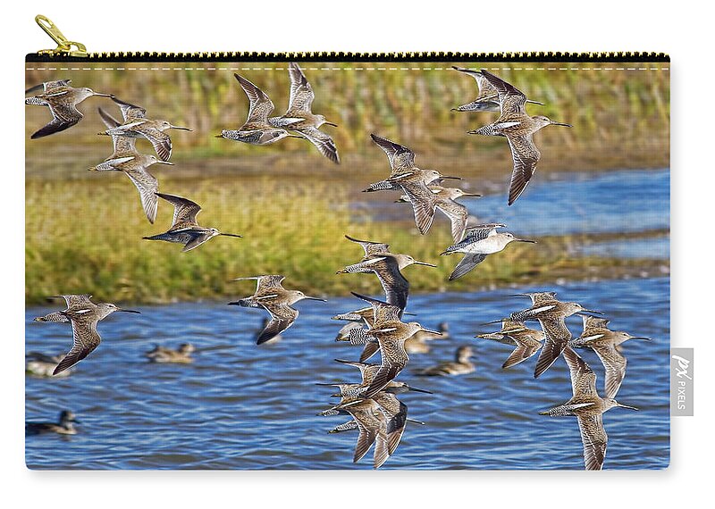 Flight Zip Pouch featuring the photograph Racing Stripes by Gary Holmes