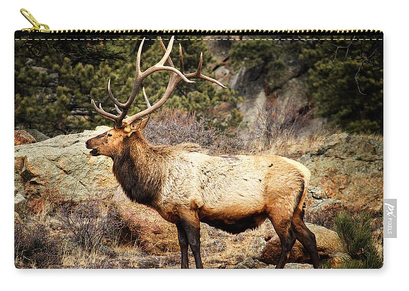Elk Zip Pouch featuring the photograph Rack of Elk by Juli Ellen