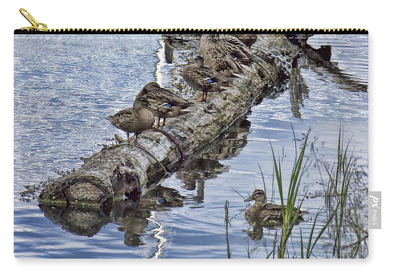 Ducks Zip Pouch featuring the photograph Raft of Ducks by Cathy Anderson
