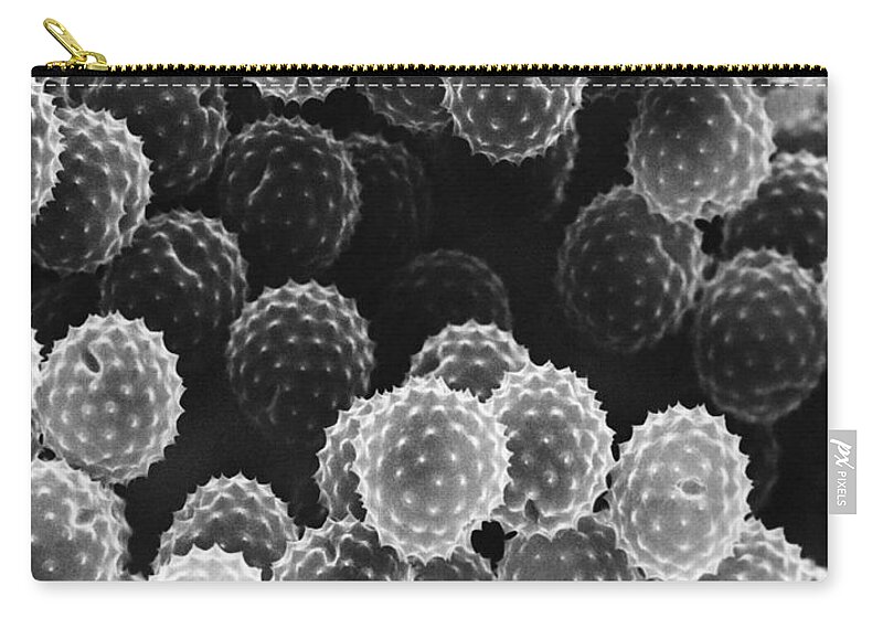 Science Zip Pouch featuring the photograph Ragweed Pollen Sem by David M. Phillips / The Population Council