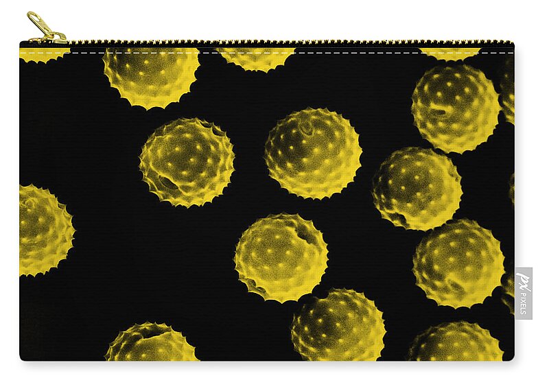 Botany Zip Pouch featuring the photograph Ragweed Pollen Sem by David M. Phillips