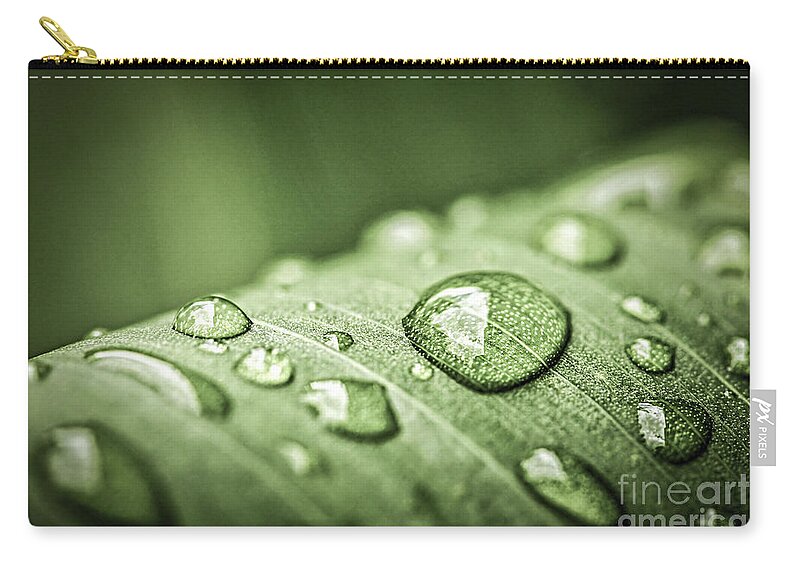 Plant Zip Pouch featuring the photograph Rain drops on green leaf by Elena Elisseeva