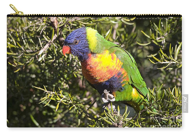 Australia Zip Pouch featuring the photograph Rainbow Lorikeet by Steven Ralser