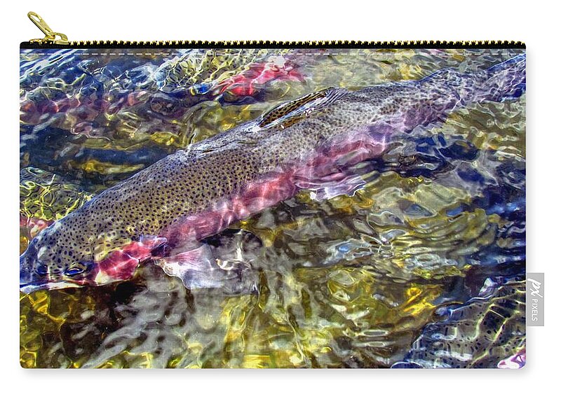 Rainbow Trout Zip Pouch featuring the photograph Rainbow Trout by Carol Montoya