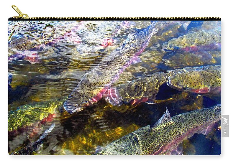 Rainbow Trout Zip Pouch featuring the photograph Rainbow Trout II by Carol Montoya