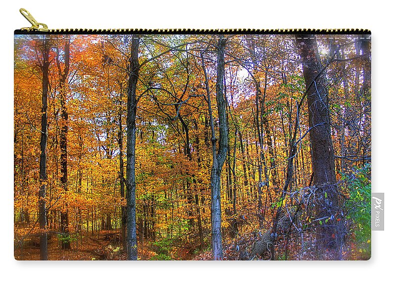 Autumn Zip Pouch featuring the photograph Rainbow Woods by Andrea Platt