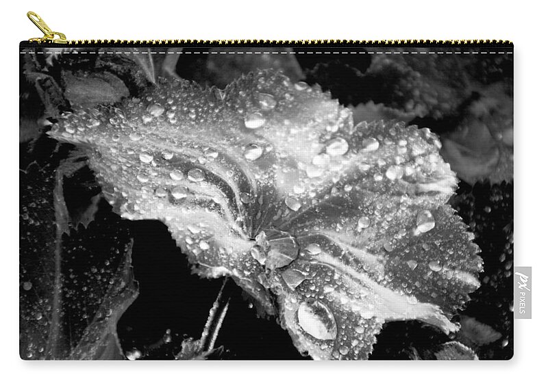Rain Covered Leaf Zip Pouch featuring the photograph Raindrop covered leaf by Tracy Winter