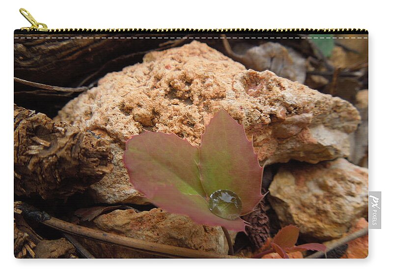 Leaf Zip Pouch featuring the photograph Raindrop Jewel by Donna Jackson