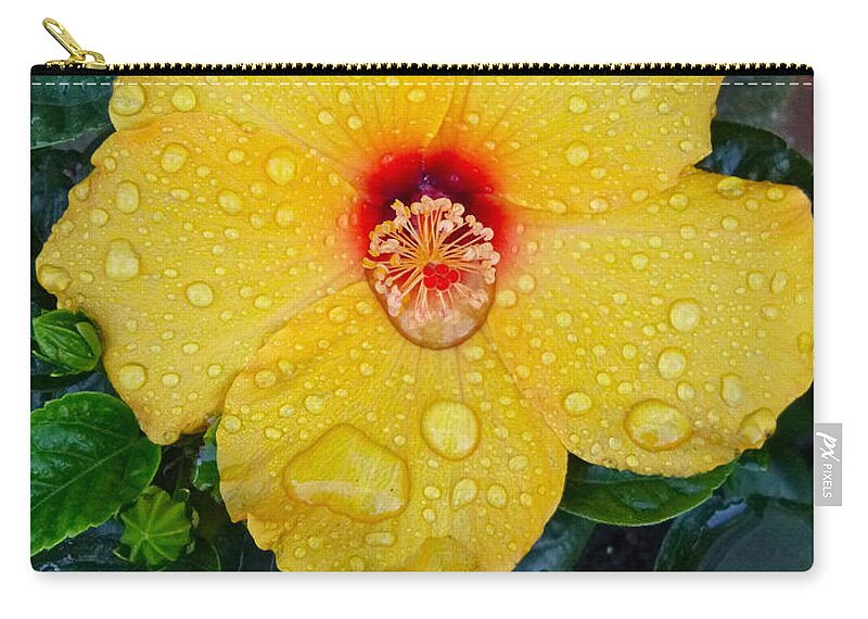 Flower Zip Pouch featuring the photograph Raindrops by Ellen Paull