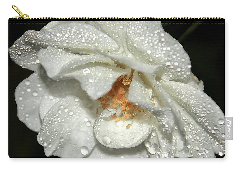 Raindrops Flower Canvas Print Zip Pouch featuring the photograph Rainy Day Rose by Lucy VanSwearingen