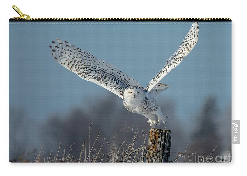 Field Zip Pouch featuring the photograph Raised Wings by Cheryl Baxter