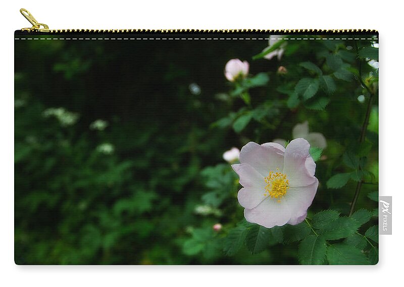 Europe Zip Pouch featuring the photograph Ranunculus by Roberto Pagani