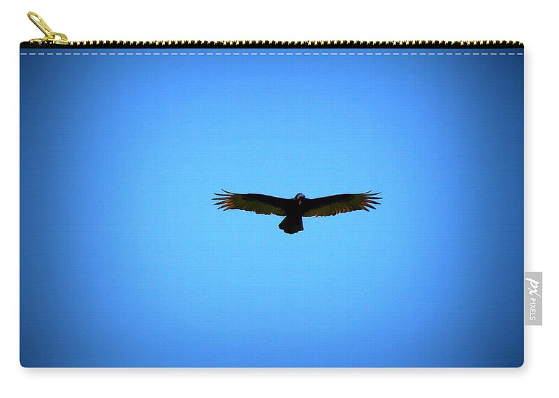Turkey Vulture Zip Pouch featuring the photograph Raptor on the hunt by Lisa Rose Musselwhite