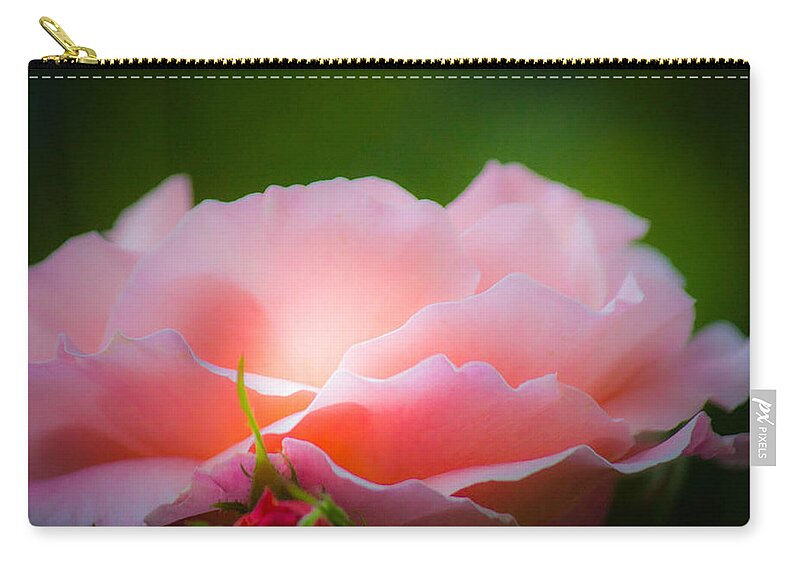 Pink Zip Pouch featuring the photograph Ray of Hope by Patricia Babbitt