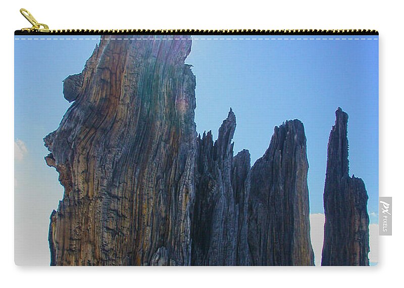 Tree Zip Pouch featuring the photograph Rays Beyond by Shane Bechler