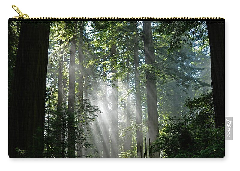 Sunlight Zip Pouch featuring the photograph Rays in Redwoods by Cassie Marie Photography
