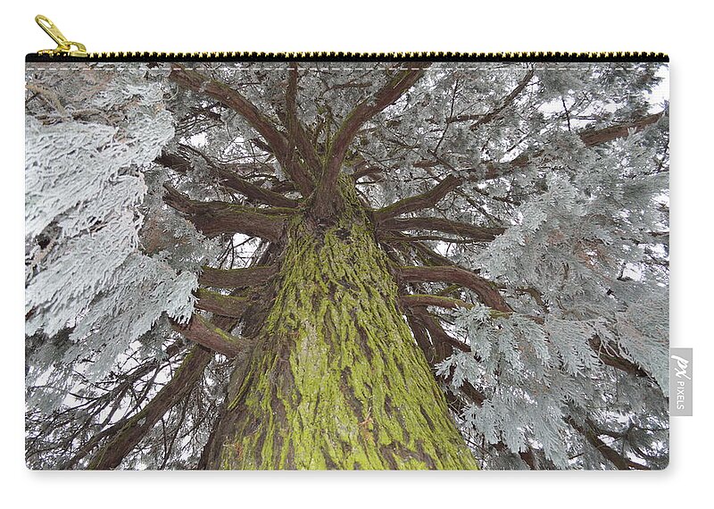 Nature Zip Pouch featuring the photograph Ready for Christmas by Felicia Tica