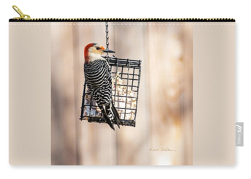 Winter Scene Zip Pouch featuring the photograph Reb-bellied Feeding by Ed Peterson