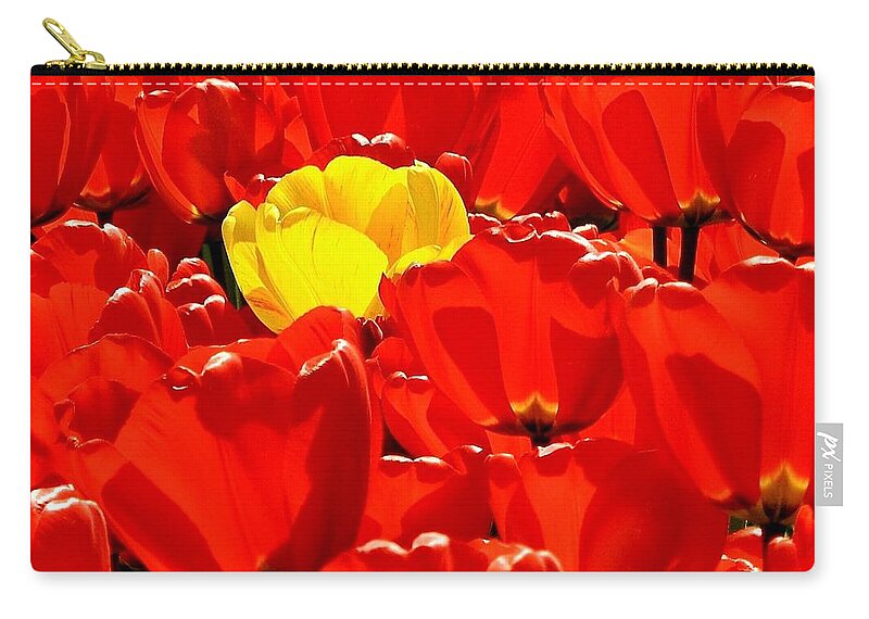 Tulips Zip Pouch featuring the photograph Rebel Yellow by Benjamin Yeager