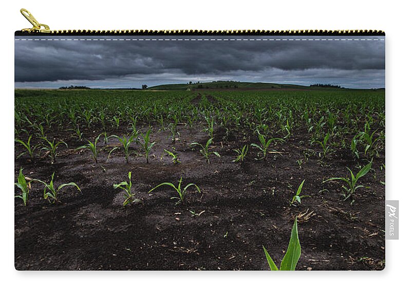 Corn Zip Pouch featuring the photograph Rebirth by Aaron J Groen