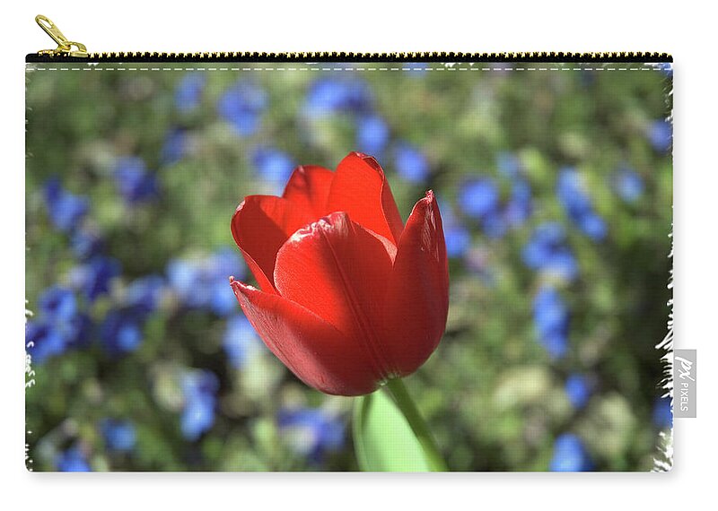 Flower Zip Pouch featuring the photograph Red Baby by Arthur Fix