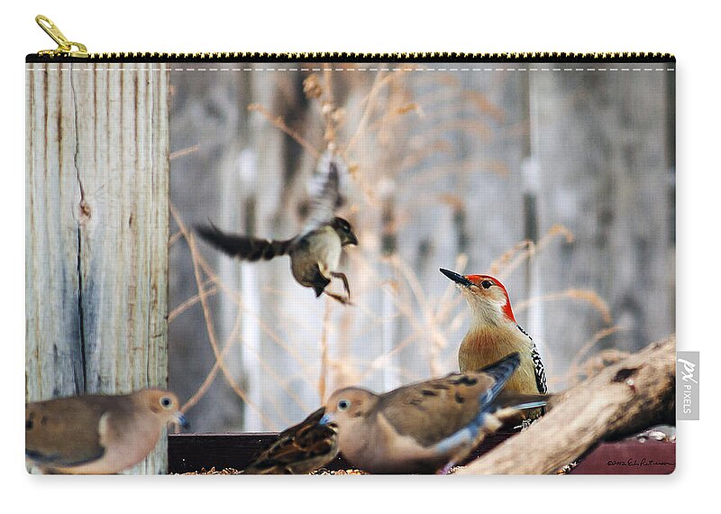 Red-bellied Woodpecker Zip Pouch featuring the photograph Red-bellied Woodpecker And Friends by Ed Peterson