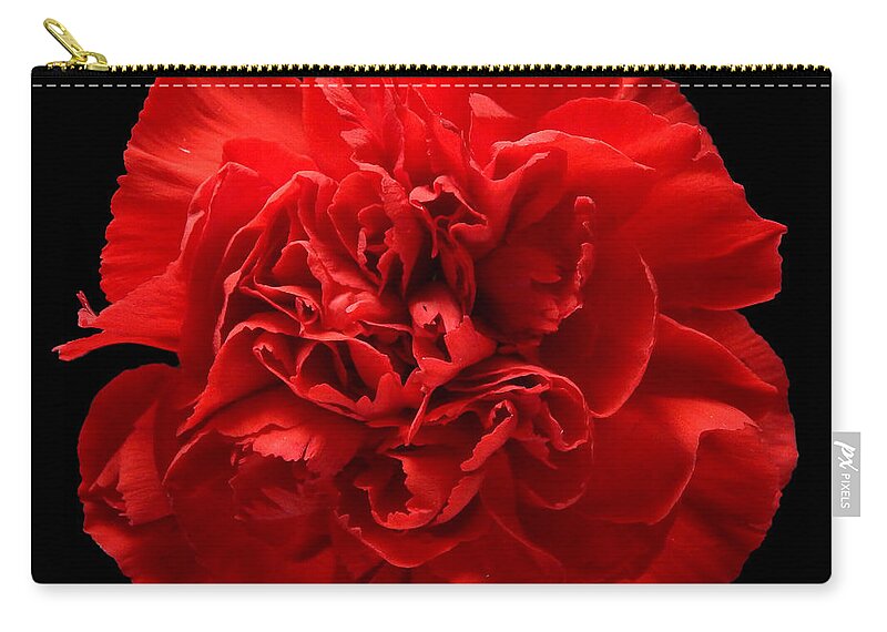 Flowers Zip Pouch featuring the photograph Red Carnation Still Life Flower Art Poster by Lily Malor