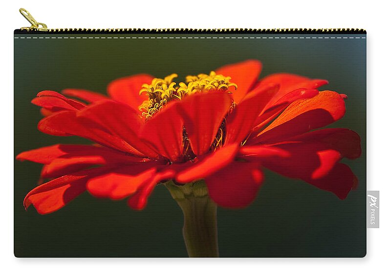 Zinnia Zip Pouch featuring the photograph A Bee's Eye View by Onyonet Photo studios