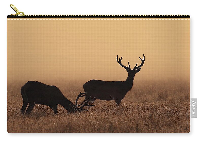 Animal Themes Zip Pouch featuring the photograph Red Deer by Hammerchewer (g C Russell)