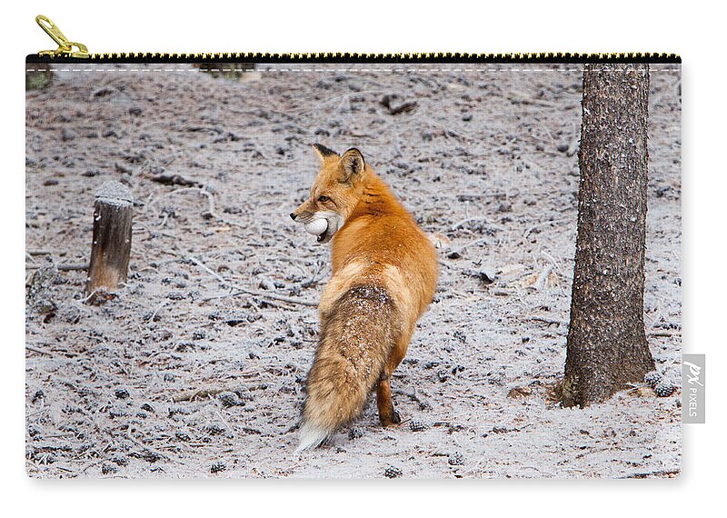 Animal Zip Pouch featuring the photograph Red Fox Egg Thief by John Wadleigh