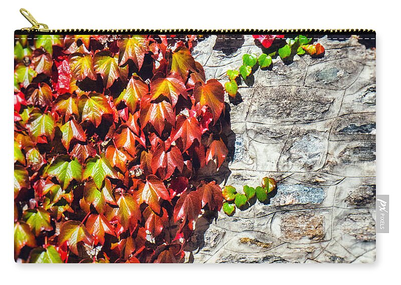 Atumn Zip Pouch featuring the photograph Red ivy on wall by Silvia Ganora