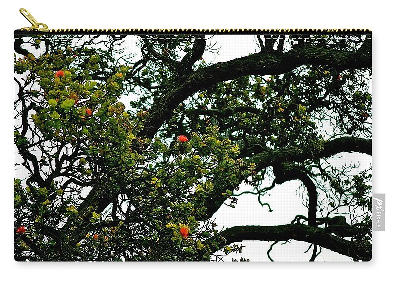 Hawaii Zip Pouch featuring the photograph Red Ohia Lehua Tree by Lehua Pekelo-Stearns