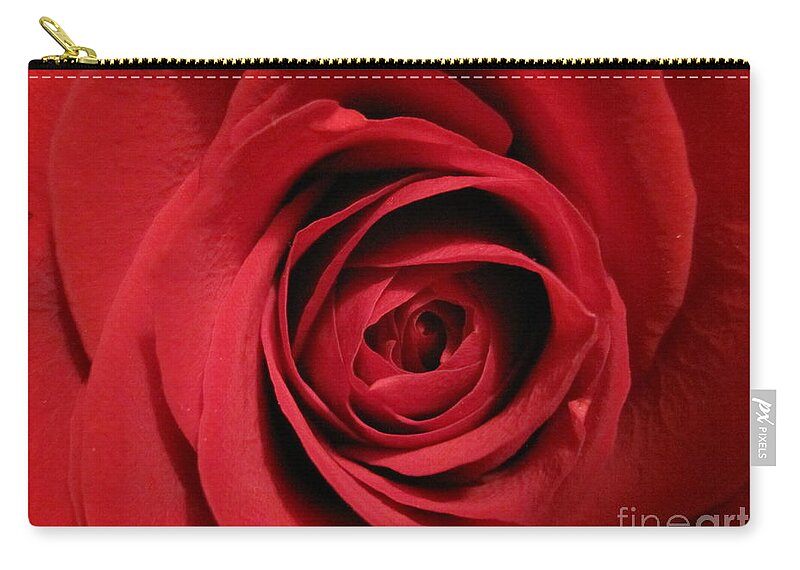 Floral Zip Pouch featuring the photograph Red Rose Macro 4 by Tara Shalton