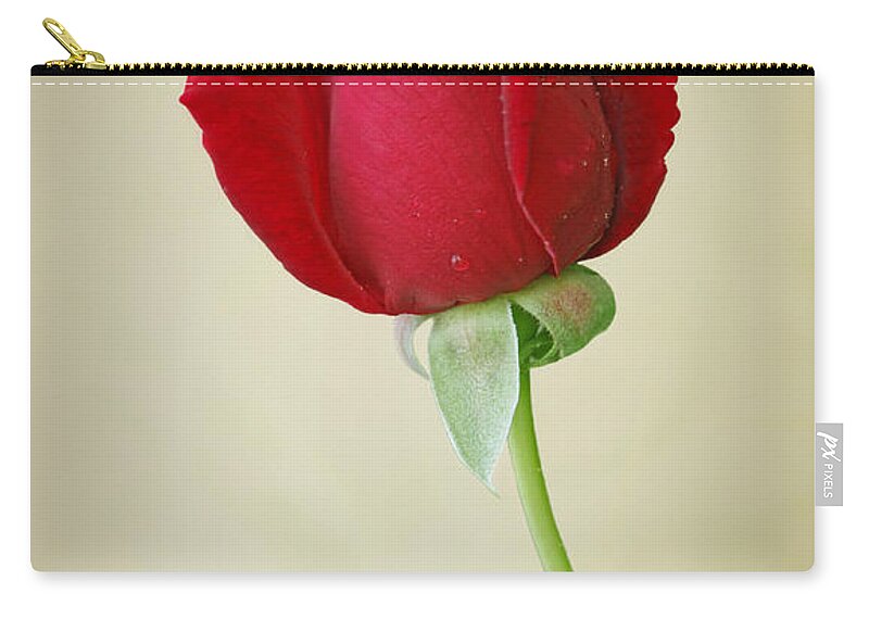 Rose Zip Pouch featuring the photograph One Red Rose by Sandy Keeton
