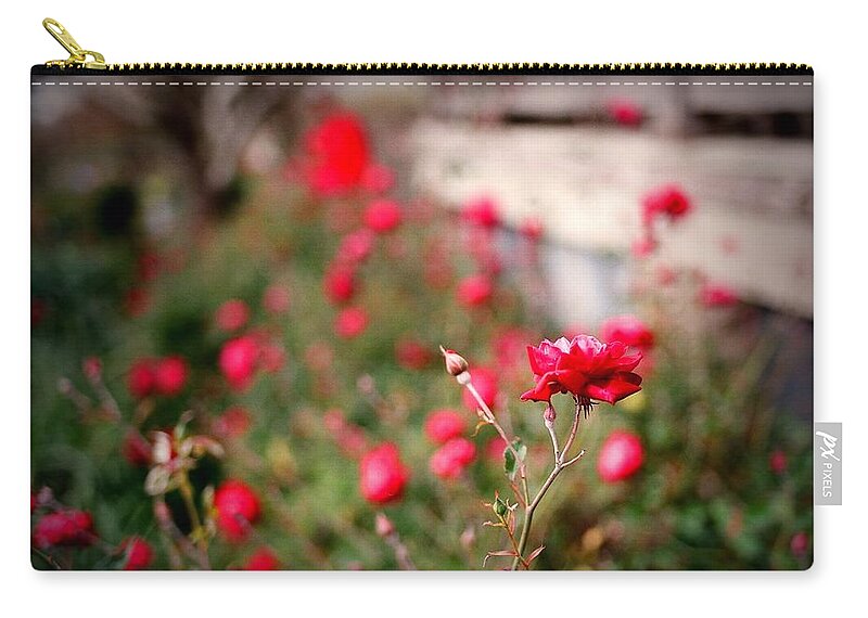 Flowers Zip Pouch featuring the digital art Red Roses on Film by Linda Unger