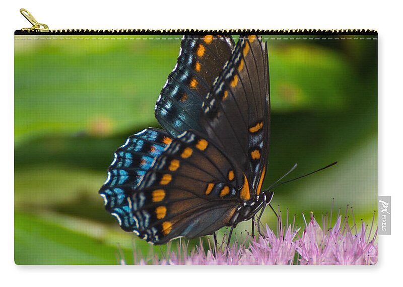 Butterfly Zip Pouch featuring the photograph Red Spotted Admiral by Photographic Arts And Design Studio