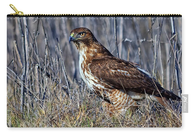 Red-tailed Hawk Zip Pouch featuring the photograph Red-tailed Hawk in the Sacramento Valley by Kathleen Bishop