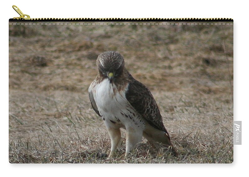 Red Tailed Hawk Zip Pouch featuring the photograph Red Tailed Hawk by Neal Eslinger