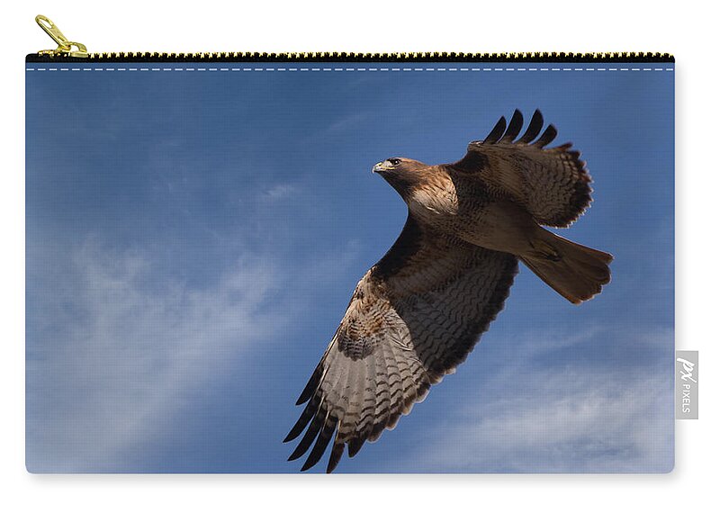 Red-tailed Zip Pouch featuring the photograph Red-tailed Hawk on the Hunt by Kathleen Bishop
