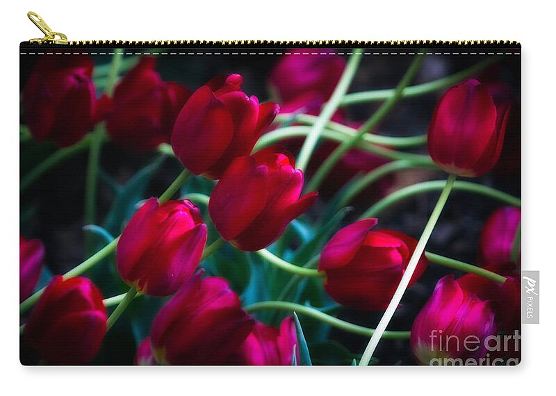 Red Zip Pouch featuring the photograph Red Tulip River by Doug Sturgess